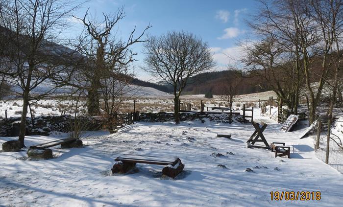 Winter at Dolgoch